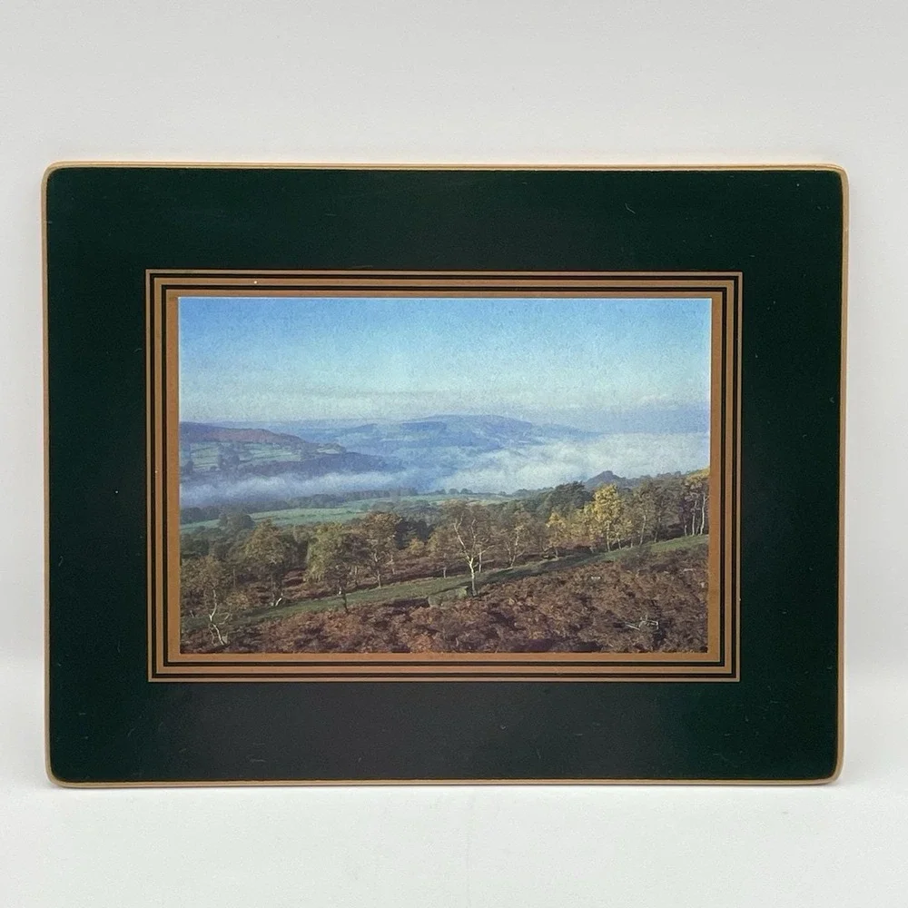 Vintage 1990s Hedgerow Derbyshire England‎ Cork Back Placemats Set of 5